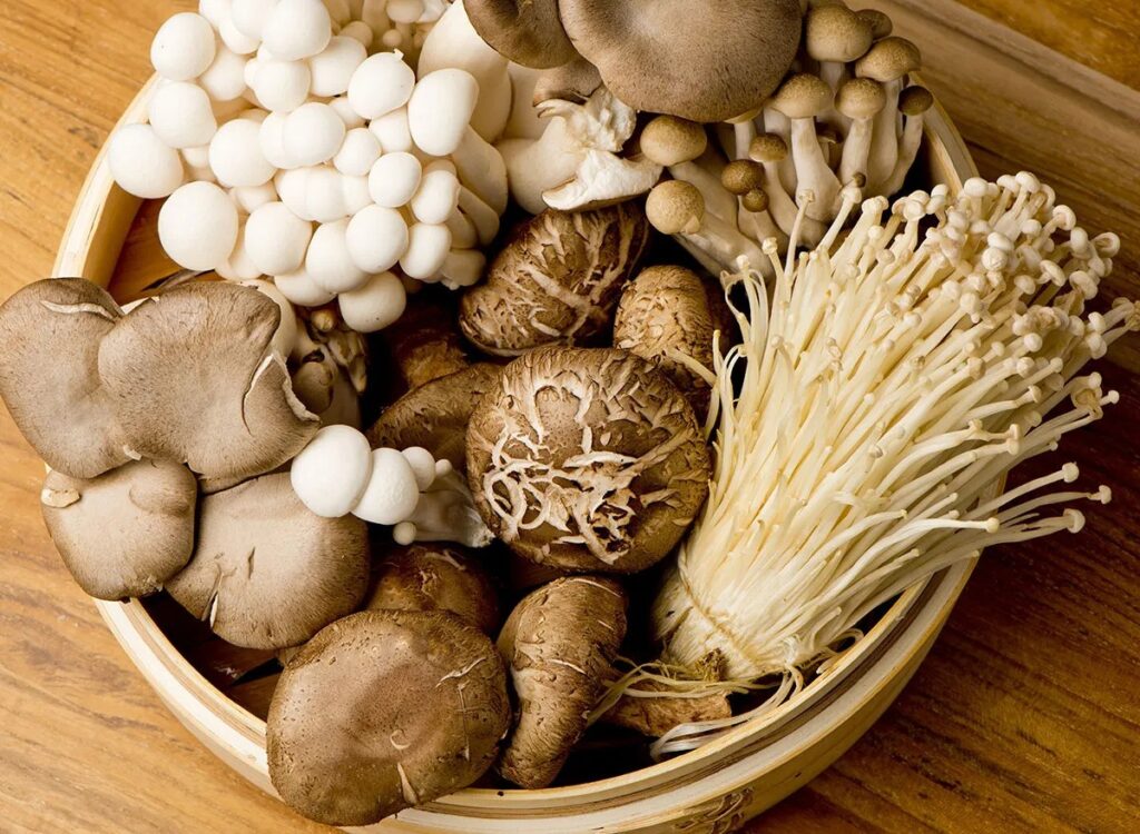 EDIBLE MUSHROOMS
