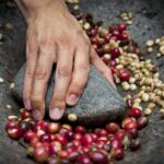 Shop for Coffee - online